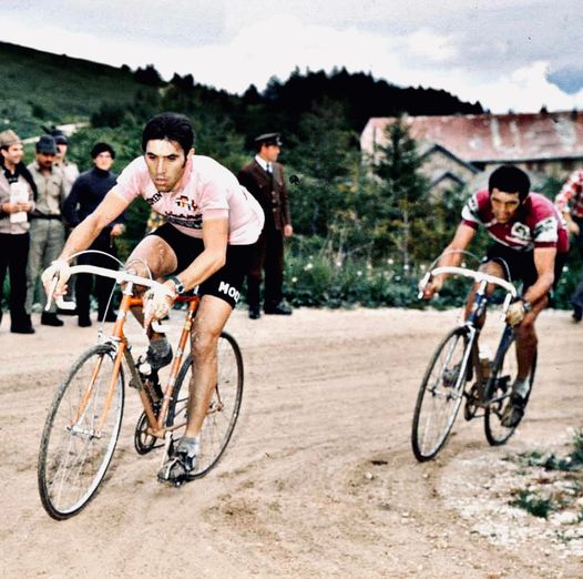 Heineken Herren-Radtrikot