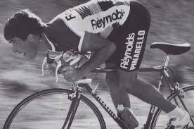 Reynolds Team Cycling Bib Short 1983